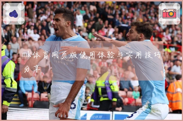 mk体育网页版使用体验与实用技巧分享