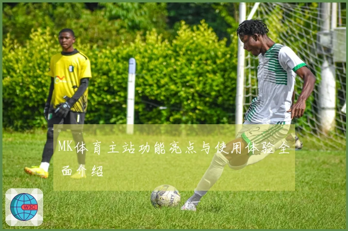 MK体育主站功能亮点与使用体验全面介绍