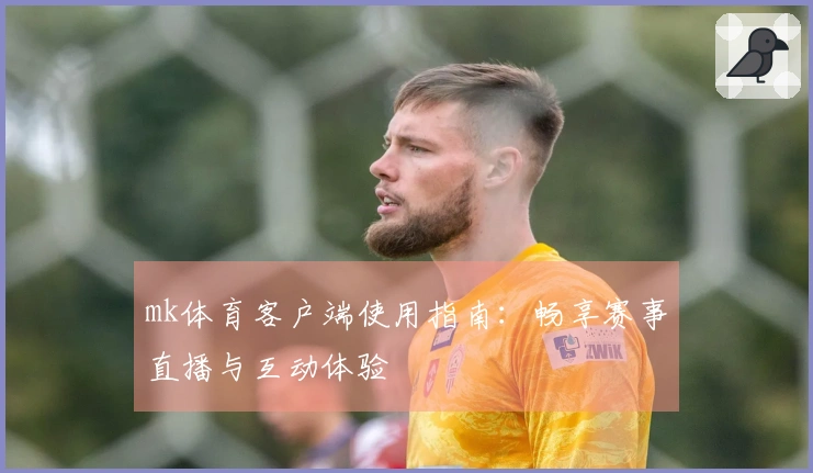 mk体育客户端使用指南：畅享赛事直播与互动体验