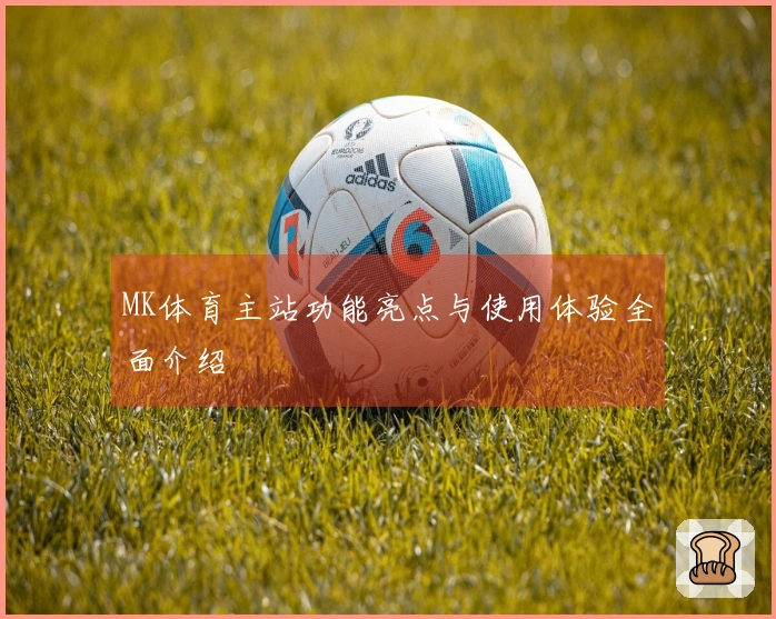 MK体育主站功能亮点与使用体验全面介绍