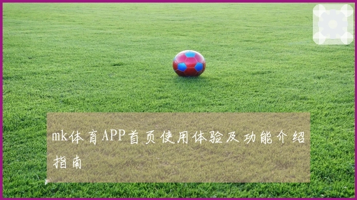 mk体育APP首页使用体验及功能介绍指南